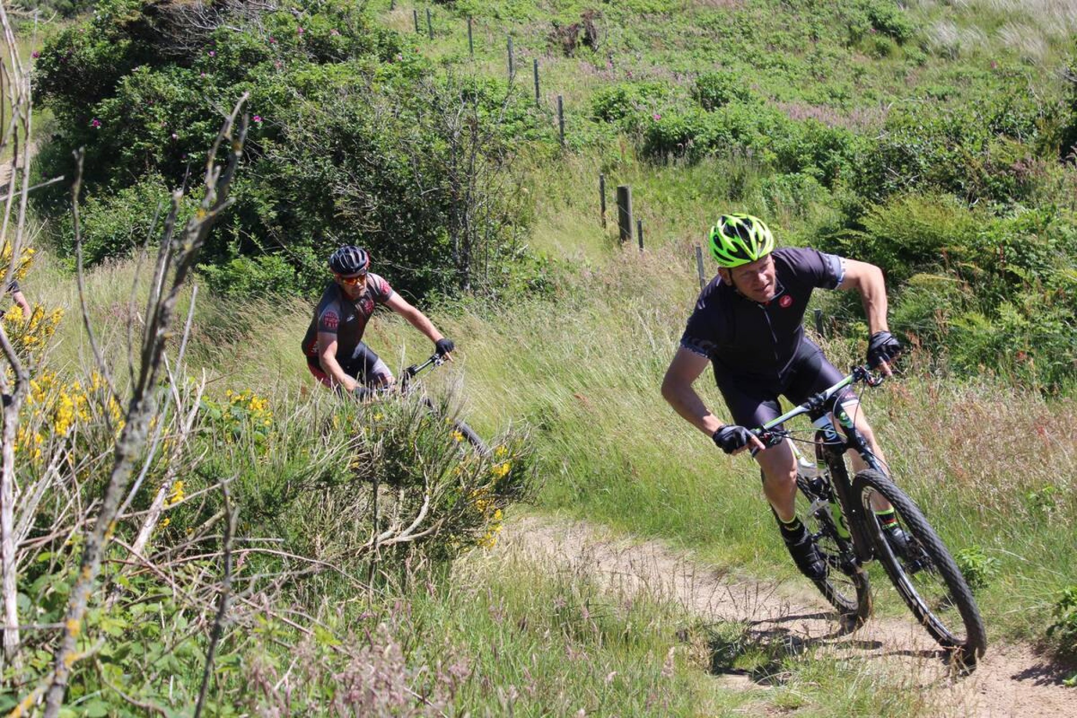 mtb-2844377.jpg -