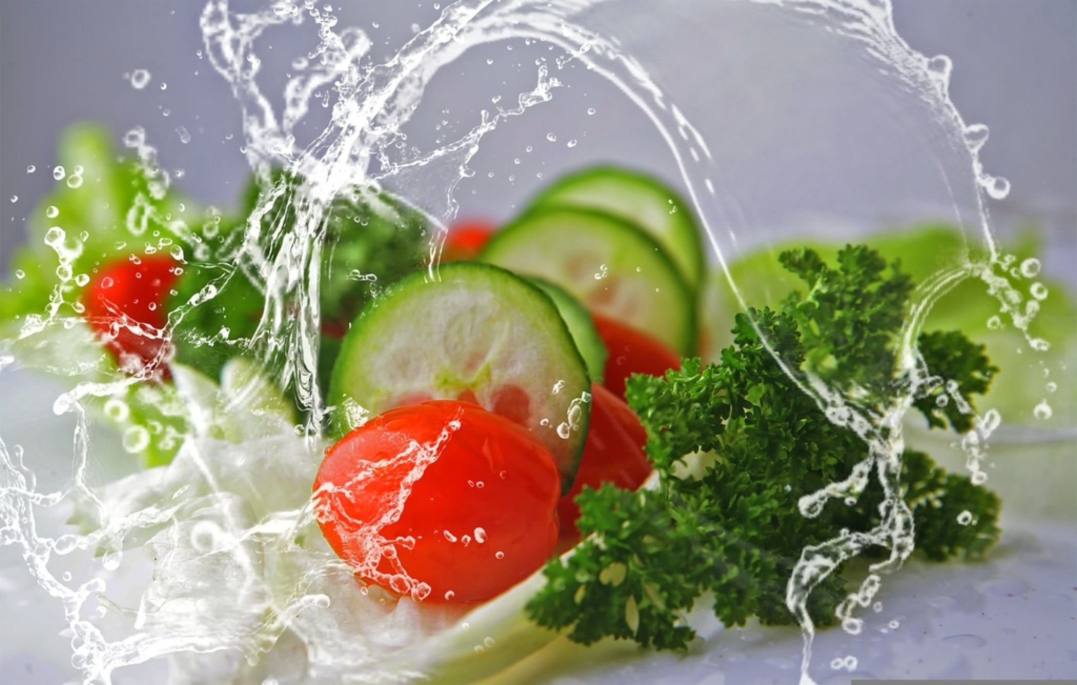 meal-2834549.jpg -